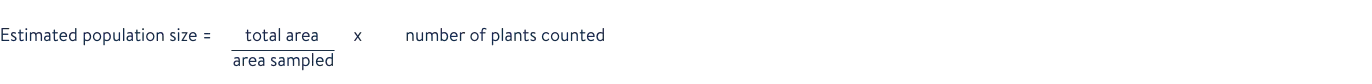 microsoftteams-image-2.png